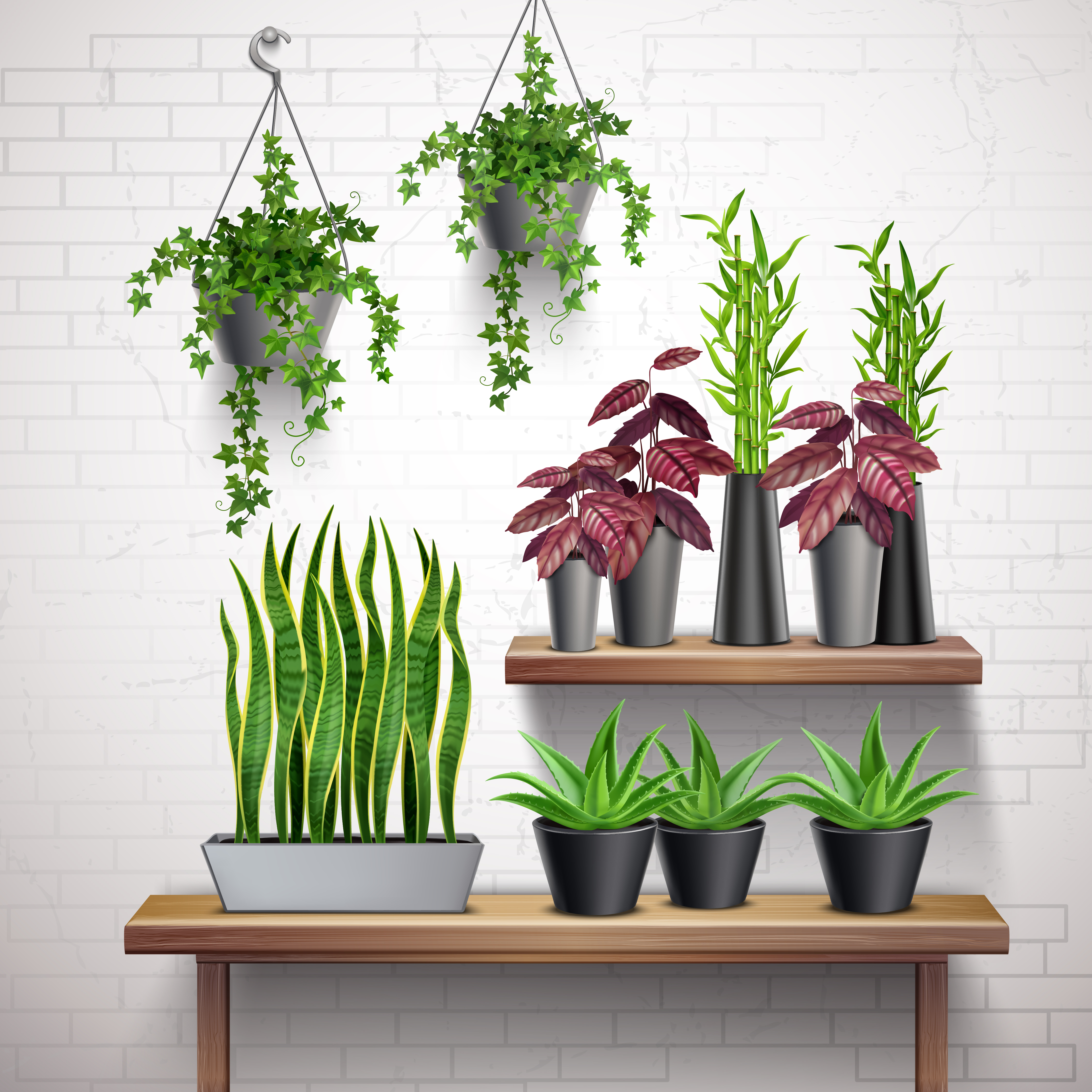 Plant shelf